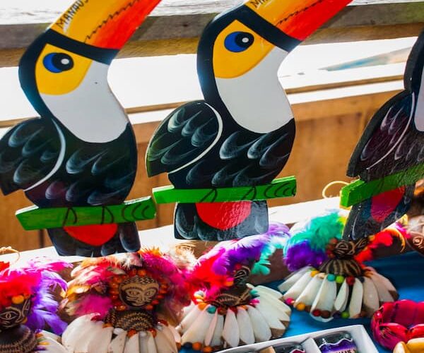 Iquitos Amazon Tour 3 Days – Iquitos Peru