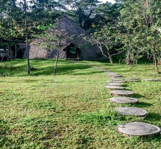 Iquitos Peru Amazon Tours - Iquitos Amazon Tour 4