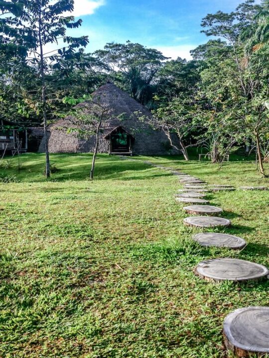 Iquitos Peru Amazon Tours - Iquitos Amazon Tour 4