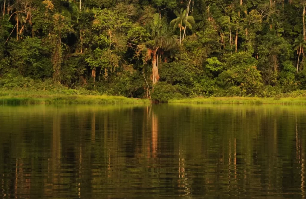 Peru Tambopata national reserve has many green landscapes to offer to its visitors