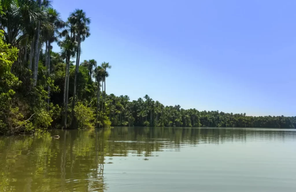 The Sandoval Lake is within Peru Tambopata National Reserve