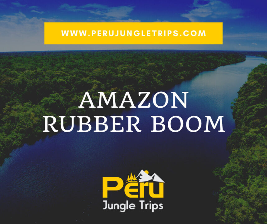 Amazon Rubber Boom