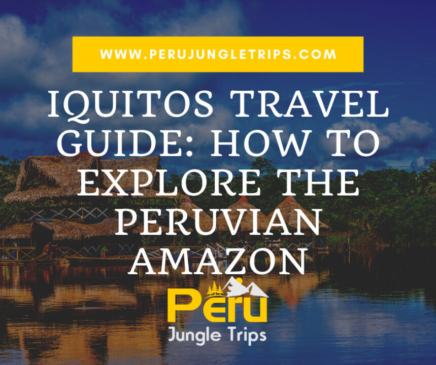 Iquitos Travel Guide: How to Explore the Peruvian Amazon