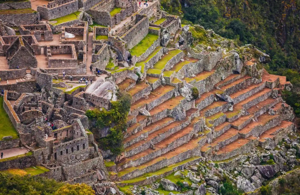 Several layers of agricultural terraces almost cover the entirety of the jungle's mountain where Machu Picchu is built upon.