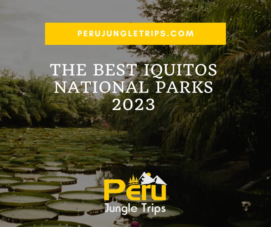 The Best Iquitos National parks 2023