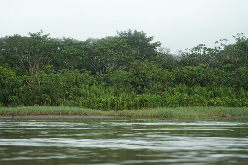 The Best Iquitos National parks 2023