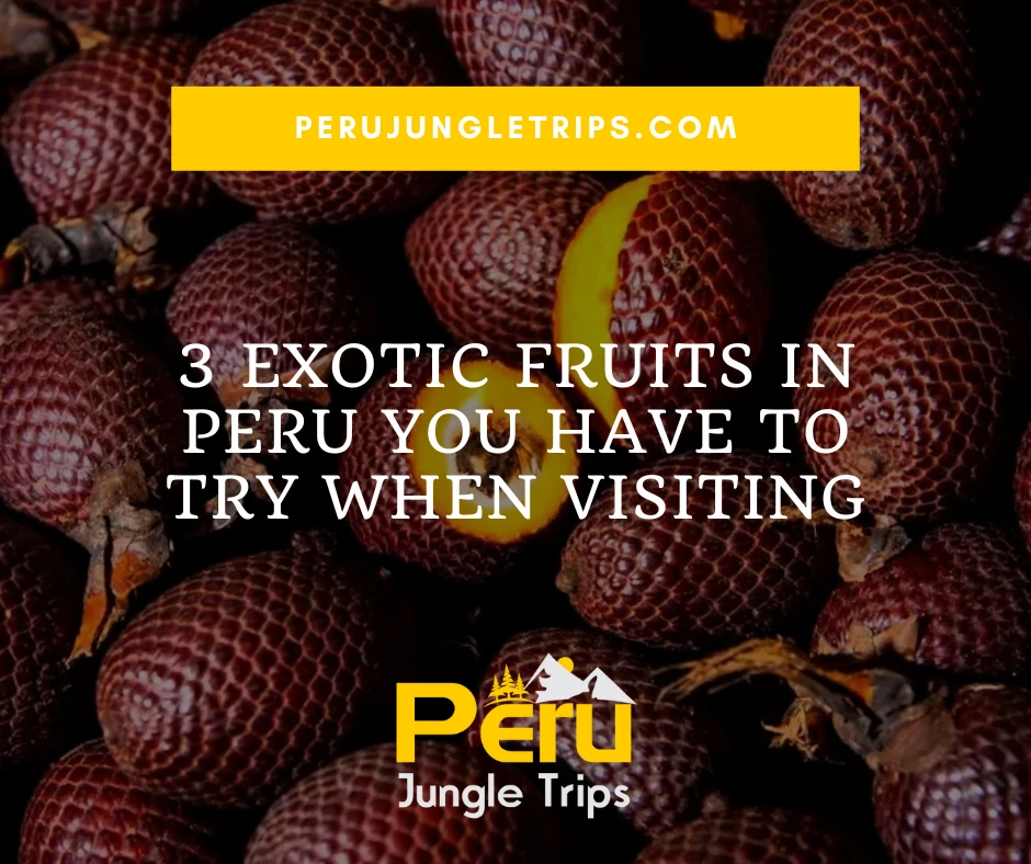 3 Exotic Fruits in Peru You Have To Try When Visiting