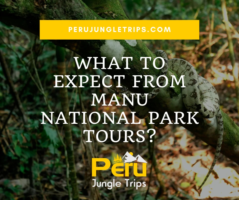 What To Expect from Manu National Park Tours?