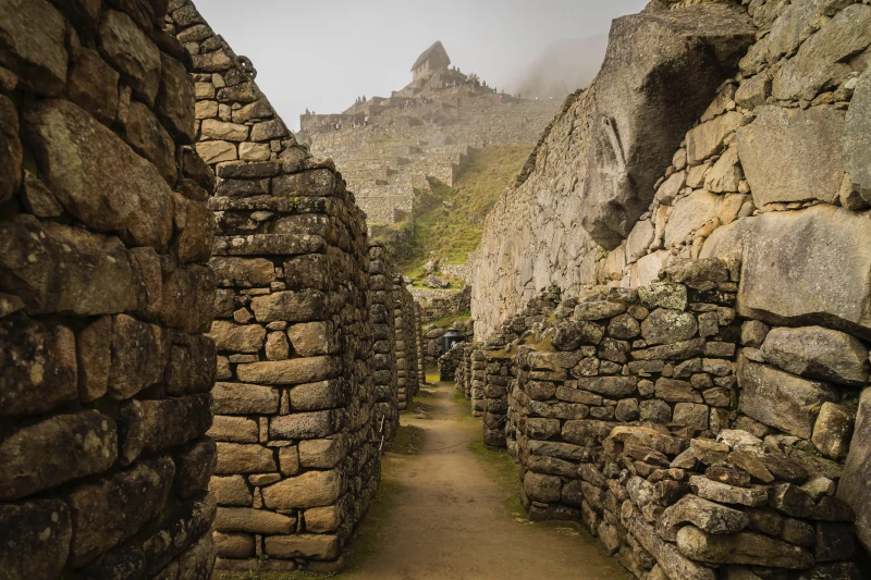 Inca Economy: The Importance of Trade and Commerce