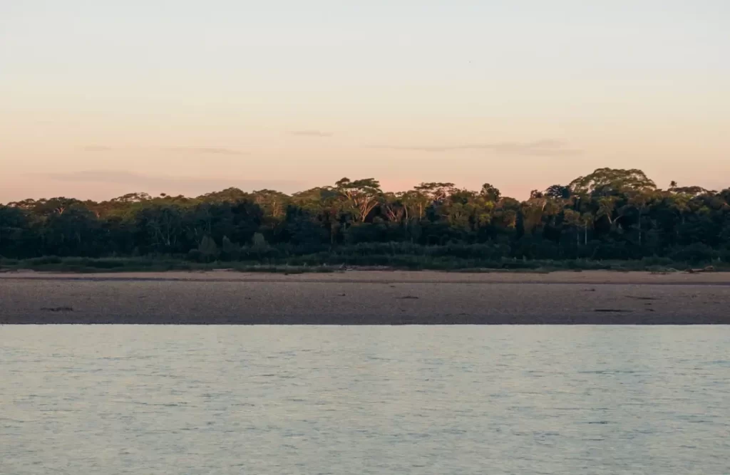 A beach by the Tambopata's river