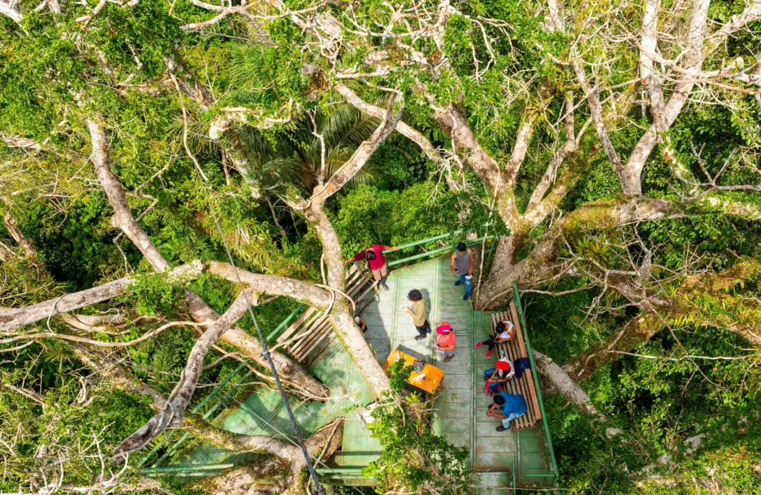 amazonia_visitors