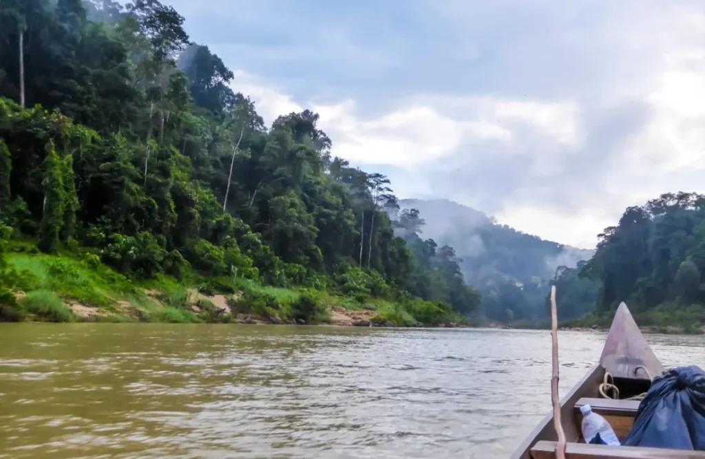 Yasuni is considered as a unique biosphere according to UNESCO.