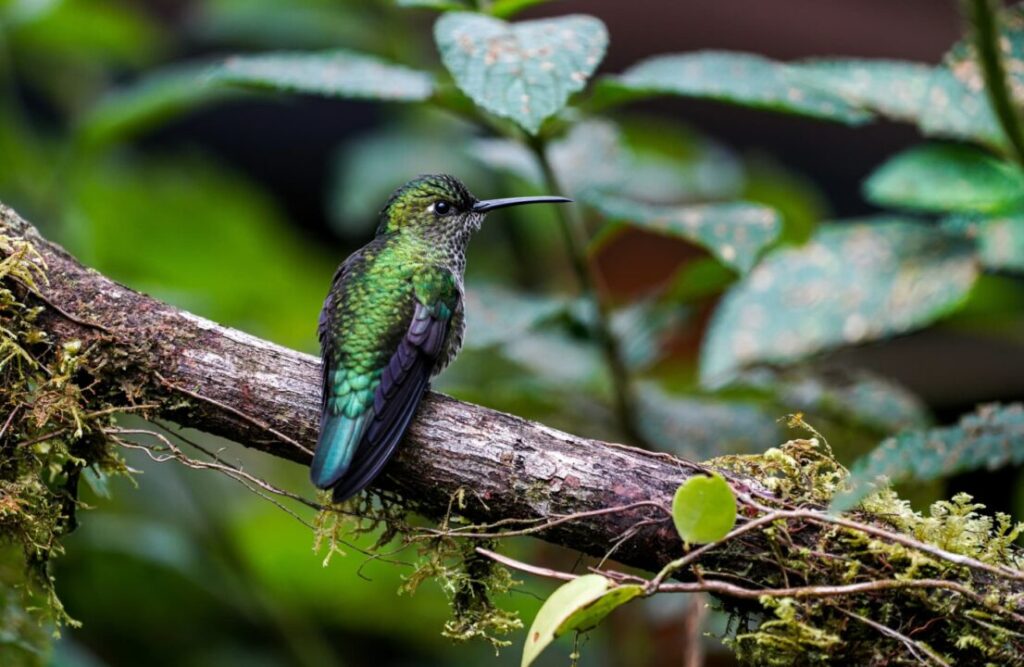 Birdwatching is one of the recurring activities for this tour.